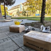 nasadzenia i plotki 1
